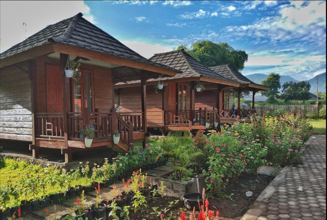 Puncak Rinjani Lodge Sembalunlawang Dış mekan fotoğraf