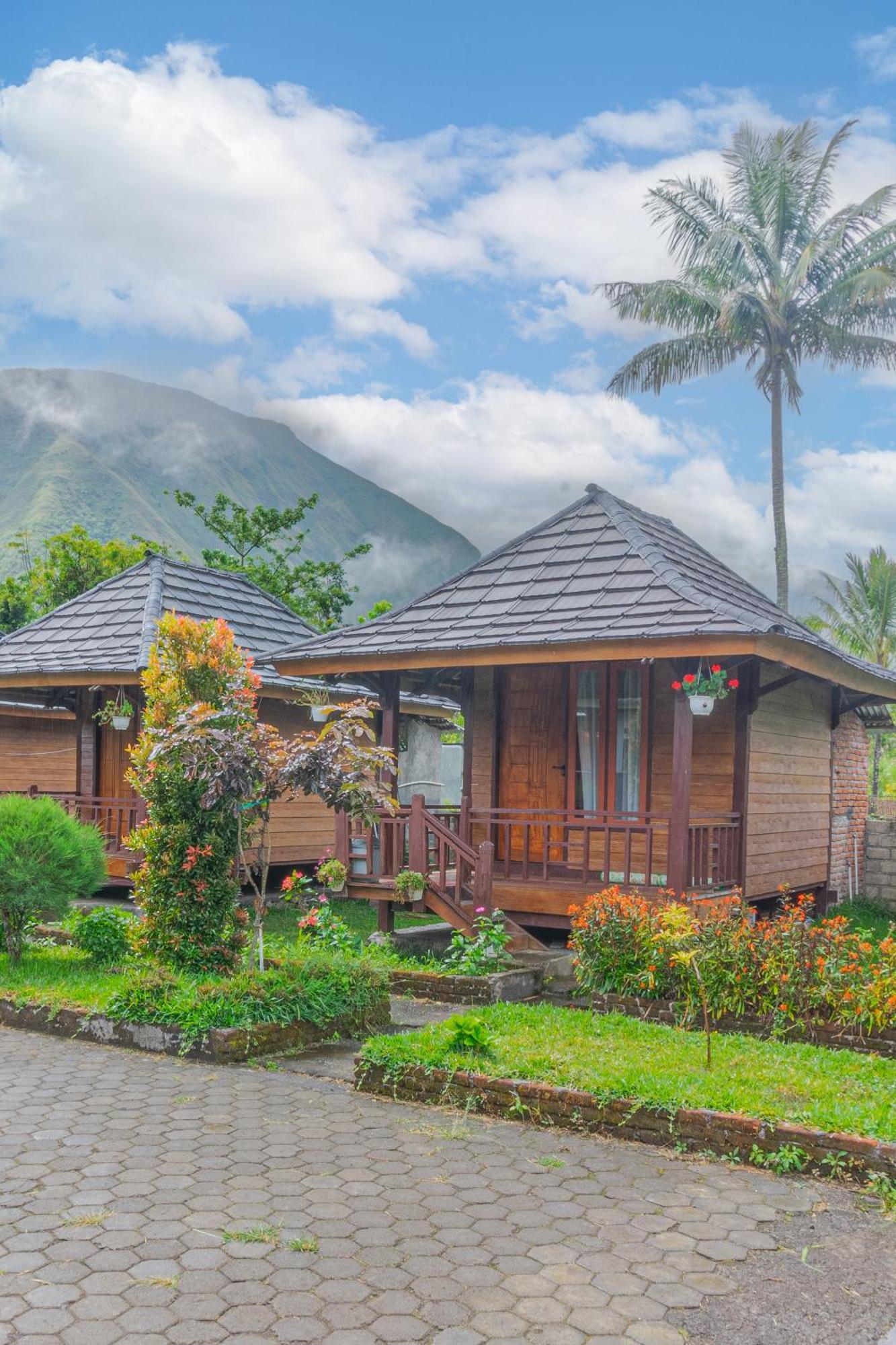 Puncak Rinjani Lodge Sembalunlawang Dış mekan fotoğraf